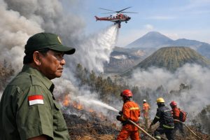 menteri kehutanan meninjau upaya pemadaman kebakaran di gunung bromo dengan mengoptimalkan penggunaan water bombing untuk mengendalikan api secara efektif dan melindungi lingkungan.
